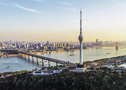 2025新澳门2025原料网茄子下载