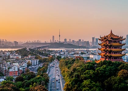 2025新澳门2025原料网茄子下载