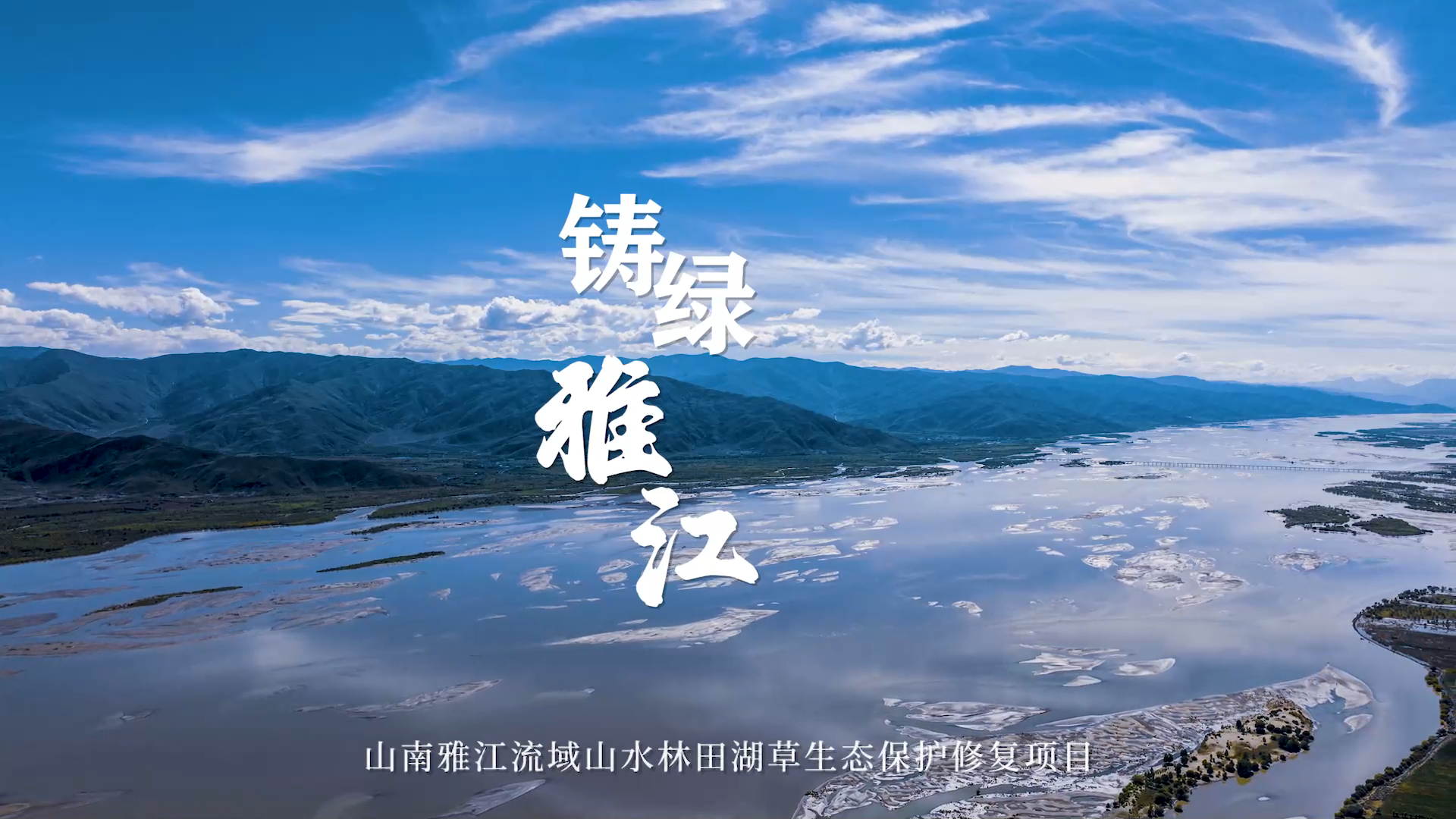 2025新澳门2025原料网茄子下载